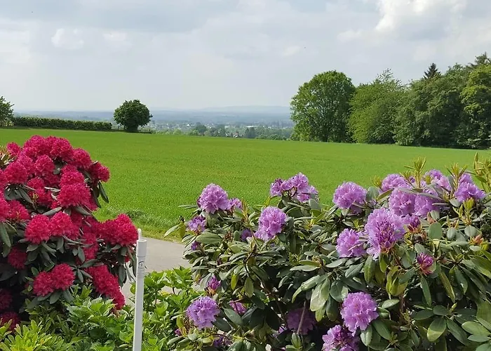 Cafe Sonnenschein & 3*